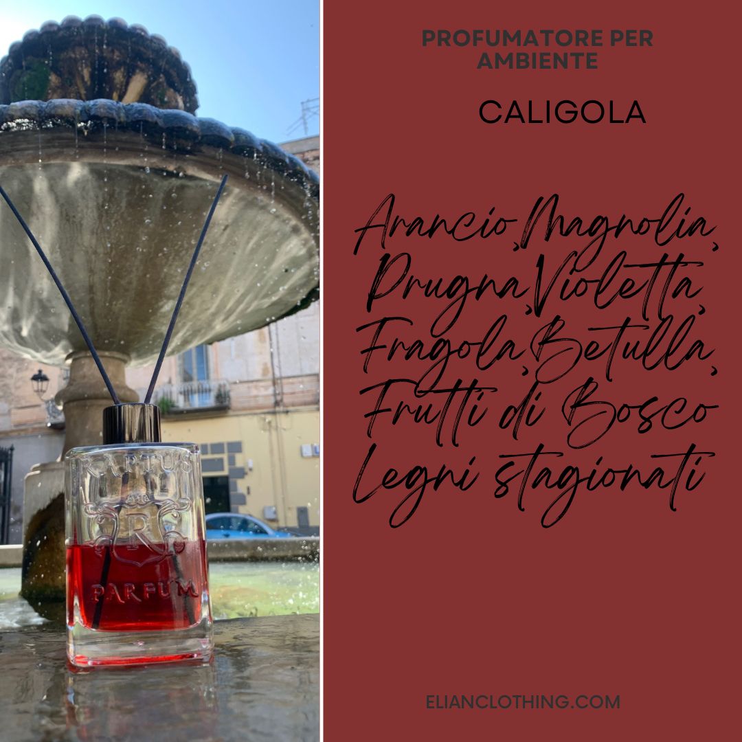 PROFUMATORE AMBIENTE RAPTUS